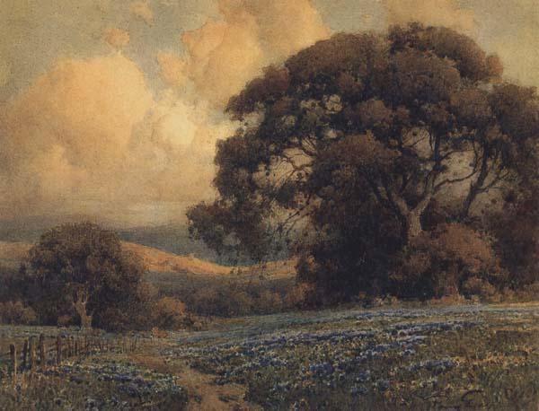 unknow artist California landscape